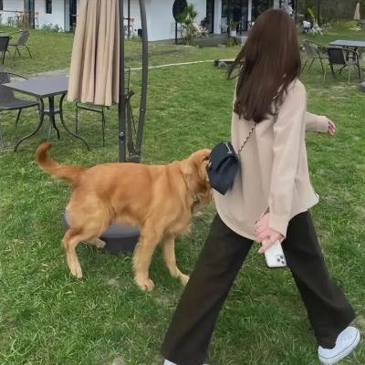 要命女优
